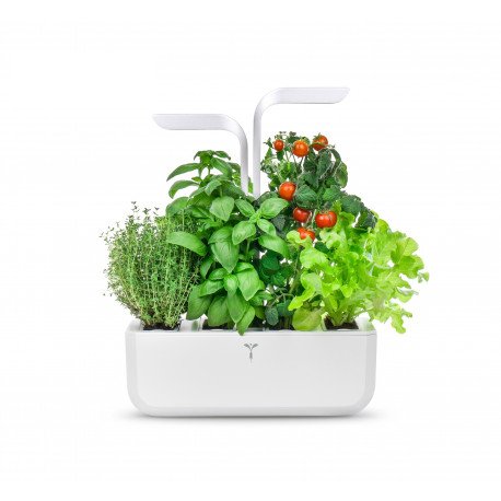 Véritable Classic Selbstversorgender Indoor-Garten