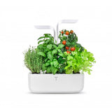 Véritable Classic Selbstversorgender Indoor-Garten