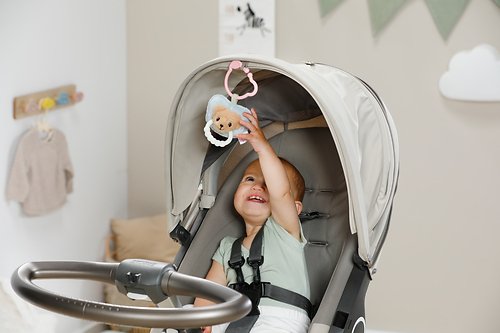 Zapf Creation Schnuller Para Babys Baby Born Mit Beissring Und Clip Teddy-Design Waschbar 839362