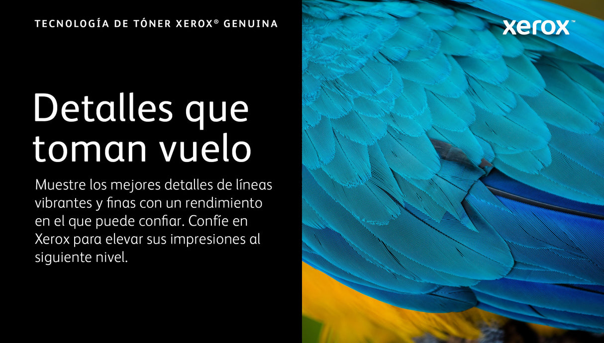 EAN 95205037999 - Xerox 006R04627 cartucho de tóner 1 pieza(s) Original imagen 3