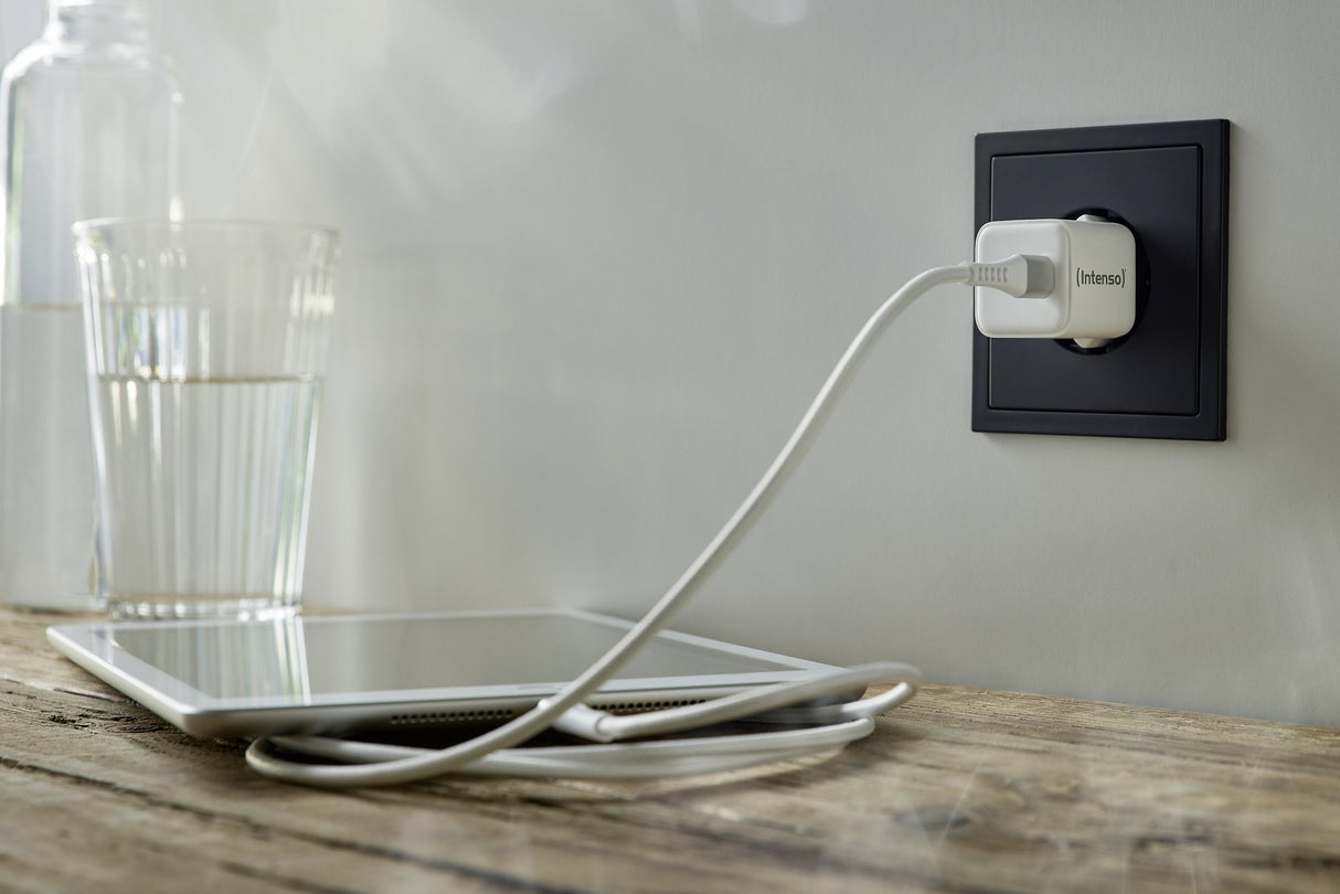 Cargador  De Alimentación Intenso W30c Gan Blanco 1x Usb-C 30w