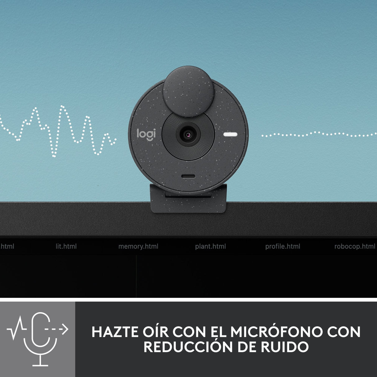 Logitech Brio 300 Cámara Web 2 Mp 1920 X 1080 Pixeles Usb-C Grafito