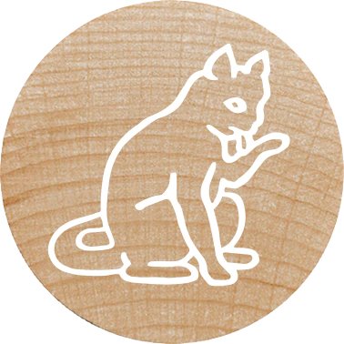 Colop Woodies Mempel-Set "Farm Animation" Retail