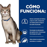 EAN 0052742043760 - Hills 605986 comida húmeda para gatos 3 kg imagen 4