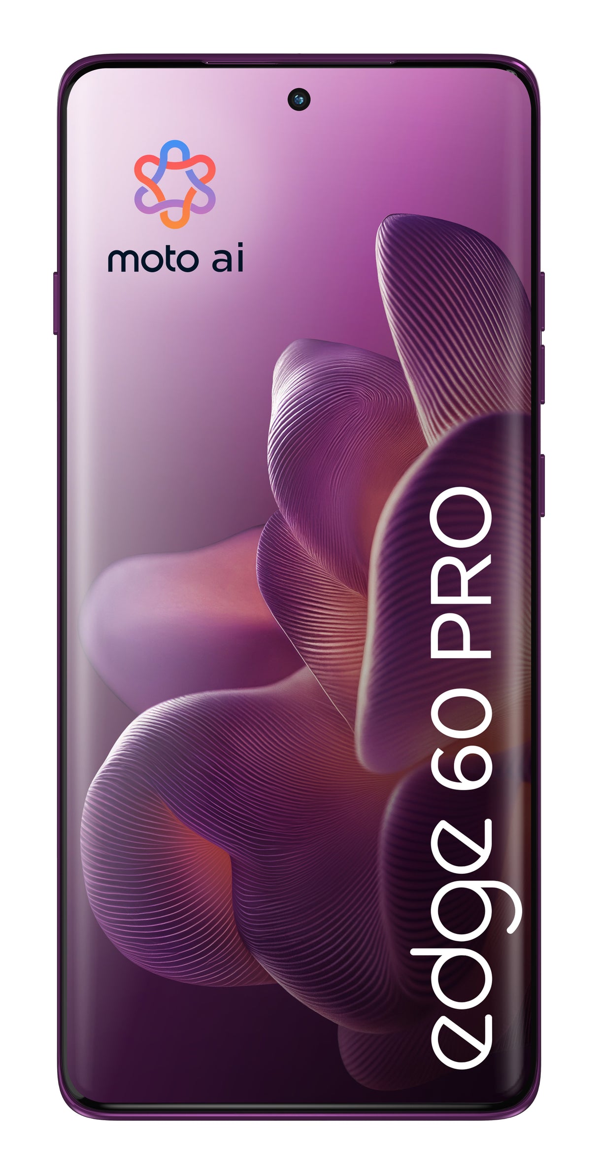EAN 840493600628 - Motorola edge 60 pro 16,9 cm (6.67") SIM doble Android 15 5G USB Tipo C 12 GB 512 GB 6000 mAh Púrpura imagen 4