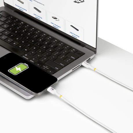 EAN 65030910194 - StarTech.com USB2EPR2MW cable USB USB C imagen 7