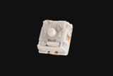 Razer Orange Switch Set, Interruptores De Llave Naranja/Transparente, 36 Piezas