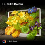 Tv Hisense 43s5q 43" Uhd 4k Qled Lifestyle Modo Arte Dolby Vision Atmos