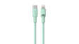 EAN 6939119066222 - Havit 6939119066222 cable de conector Lightning 1 m Verde imagen 1