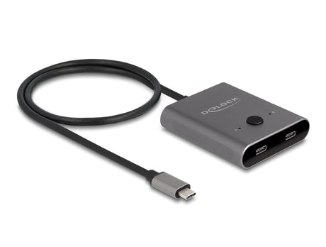 EAN 4043619115006 - DeLOCK 11500 hub de interfaz USB 3.2 Gen 2 (3.1 Gen 2) Type-C 10000 Mbit/s Gris imagen 1