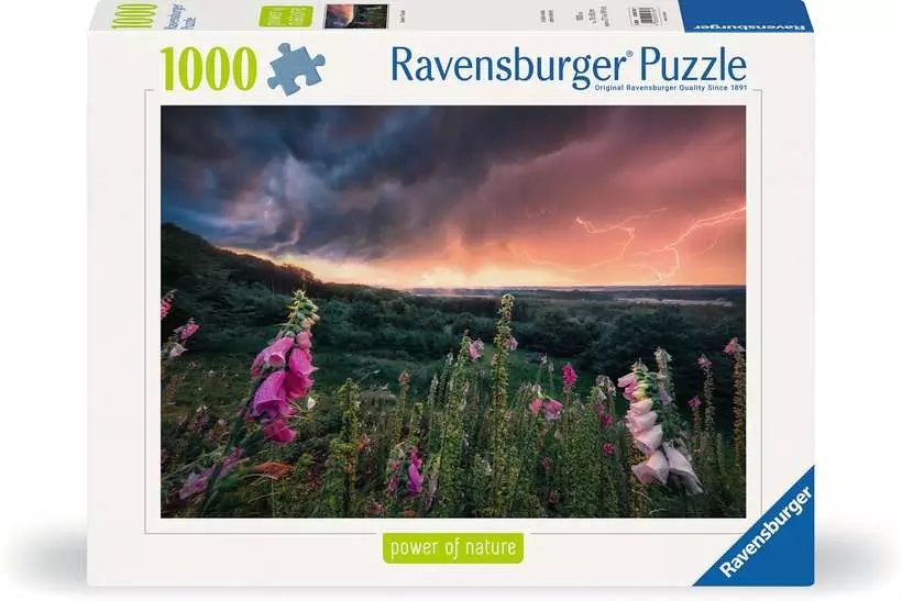 Puzzle 1000 Elementów Nadchodzi Burza