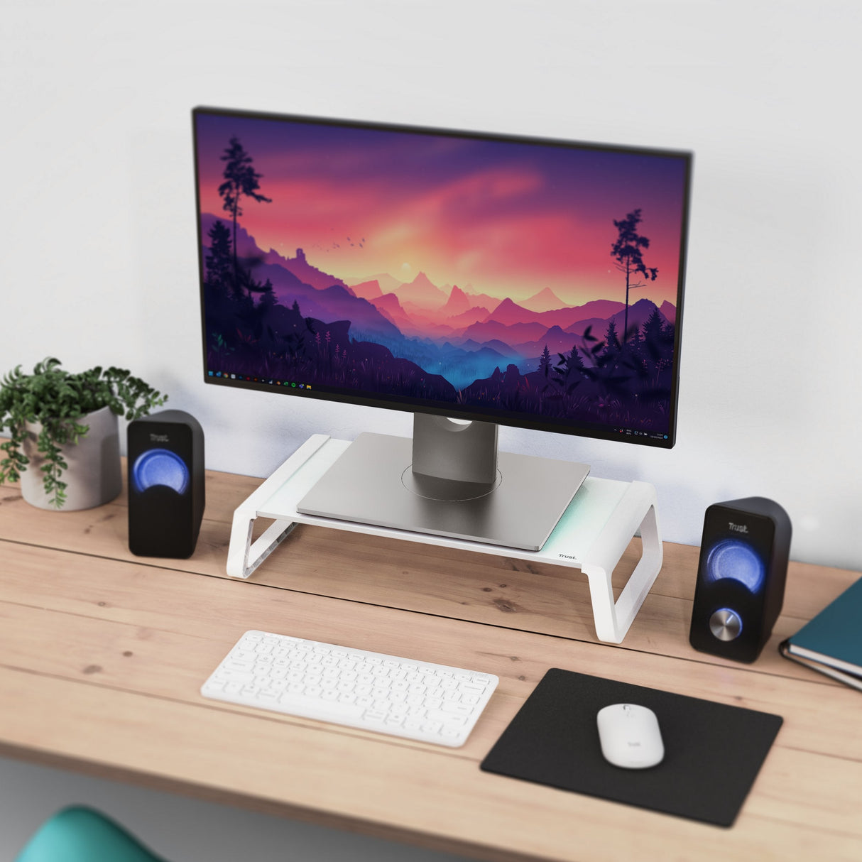 Soporte Para Monitor Trust Monta