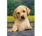 Puzzle Snoopy 1000pzs