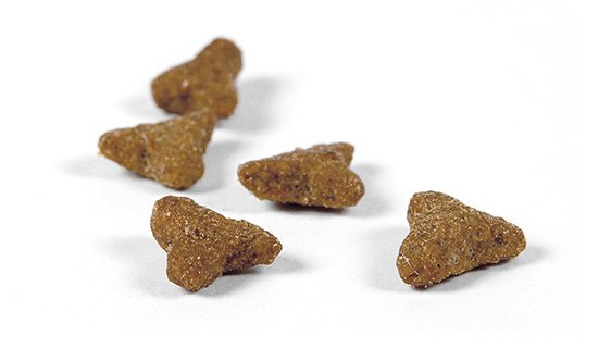 Pienso Josera Catelux (10 Kg)