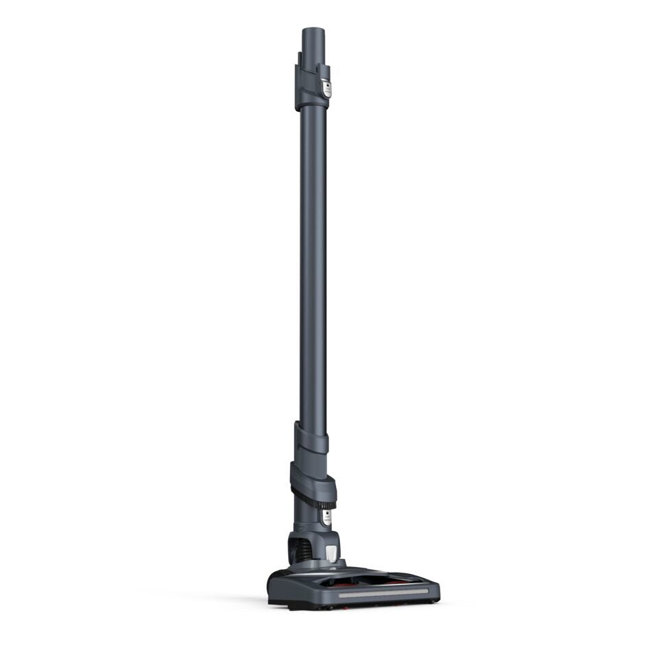 Aspirador Rowenta X-Pert 6.60 Animal Rh6878wo De Varilla Negro/Rojo Rh6878