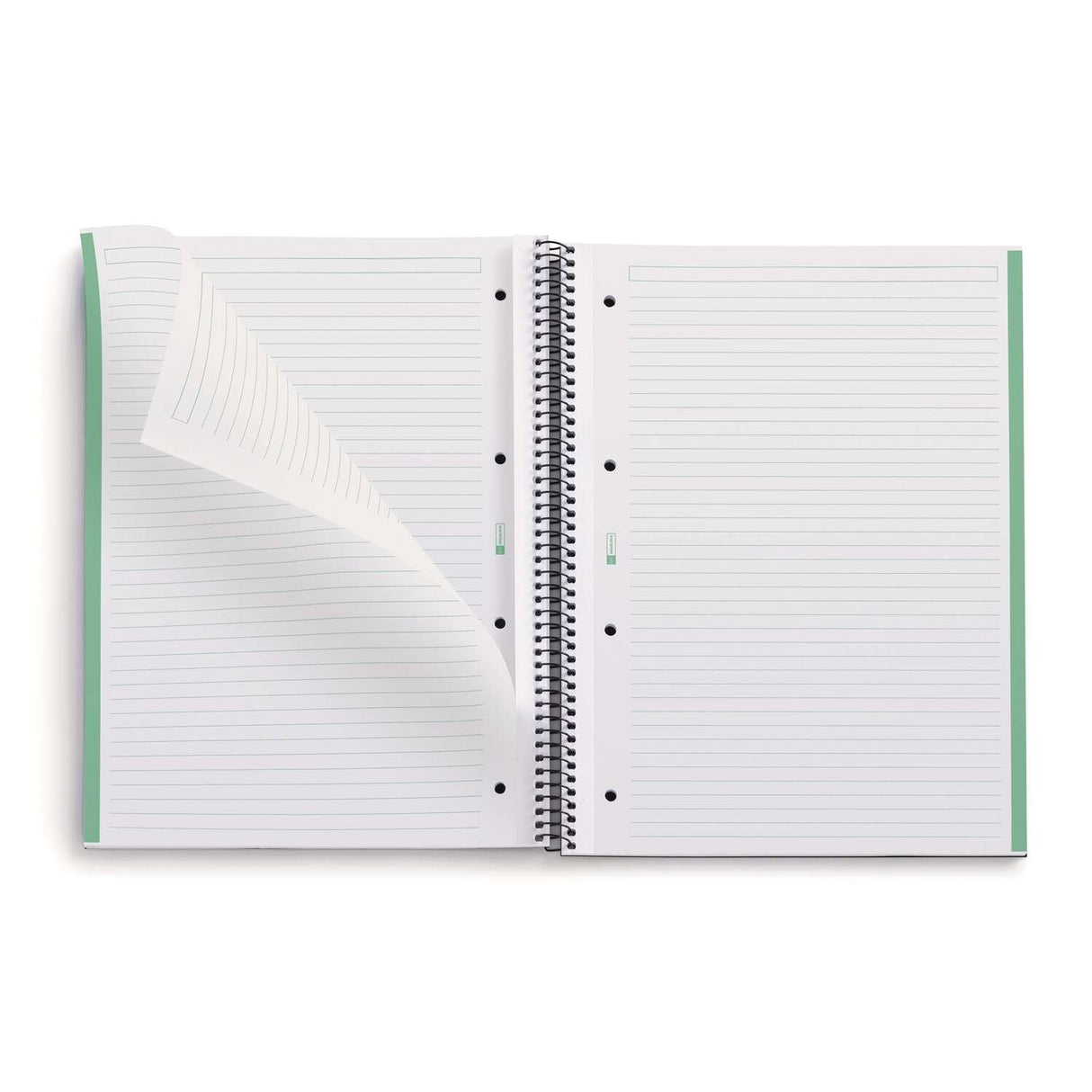 EAN 8422593060957 - MAUL A609555 cuaderno y block A4 80 hojas Verde imagen 2