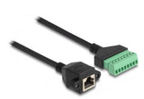 Delock Rj45 Cable Cat.6 Buchse Zu Terminalblock Adapter Zum Einbau 30 Cm 2-Teilig