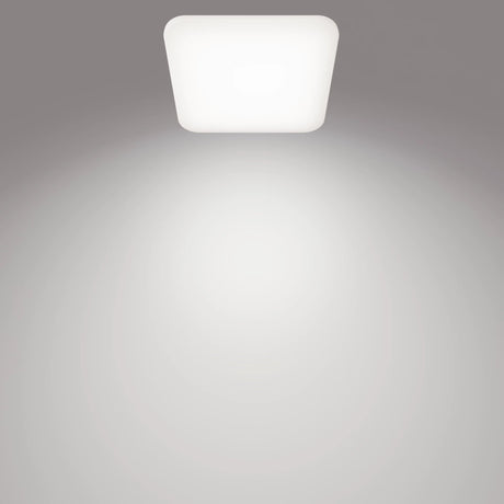EAN 8720169195516 - Philips Funcional 8720169195516 iluminación de techo LED imagen 2