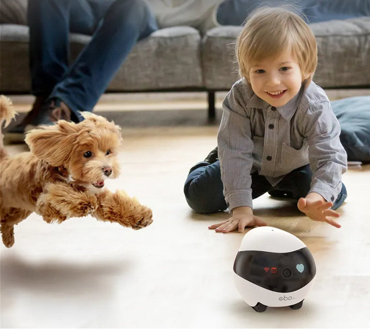 Robot Compañero Inteligente Enabot Ebo Se