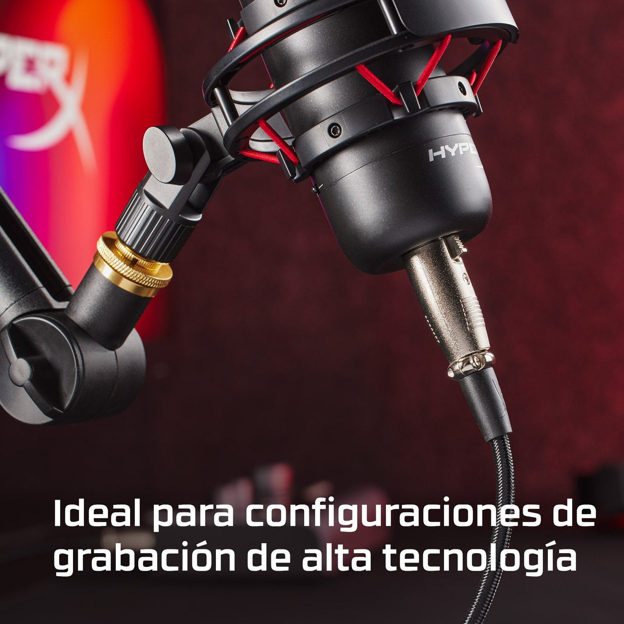 10-Foot Xlr Male-To-Female  Cable Kit