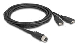 Delock M12 Cable A-Kodiert 8 Pin Buchse Zu 2 X Usb 2.0 Typ-A Buchse 2 M Schwarz