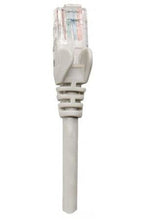 EAN 0766623737296 - Intellinet 737296 cable de red Gris 50 m Cat6a S/FTP (S-STP) imagen 2