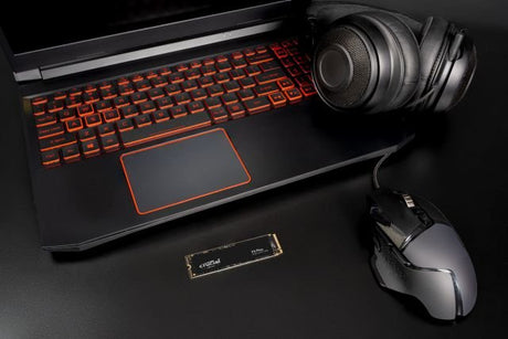 EAN 649528918963 - Crucial P3 Plus 500 GB M.2 PCI Express 4.0 NVMe 3D NAND imagen 2