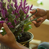 EAN 6411501706416 - Fiskars 1075317 no categorizado imagen 4