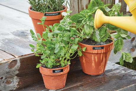 EAN 0302698094492 - DYMO LabelManager 210D™ QWY Kitcase impresora de etiquetas Transferencia térmica 180 x 180 DPI 12 mm/s In imagen 6