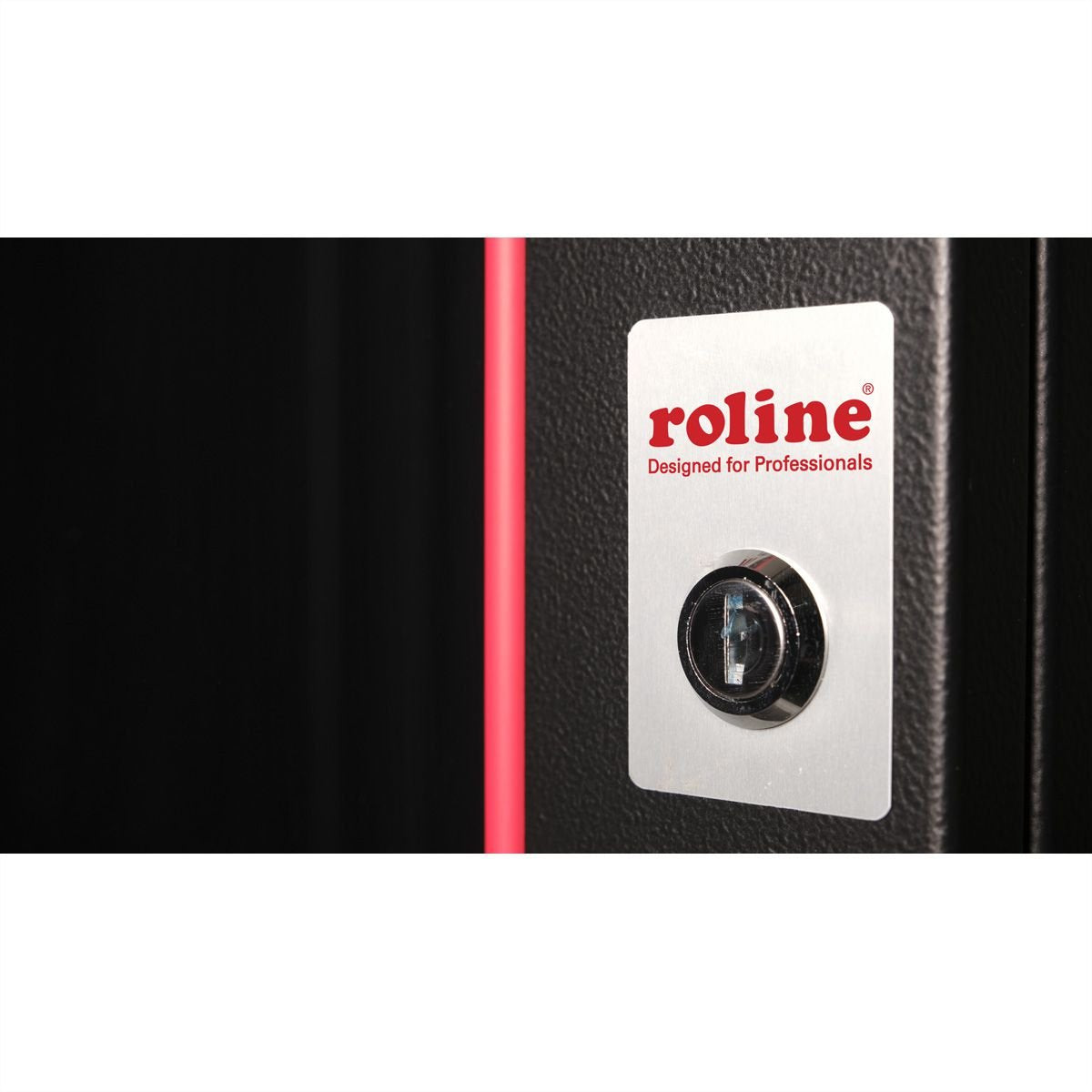 Roline 19-Zoll Wandgehuse Pro 9 He, 600x450 Bxt Schwarz