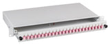 Spleibox Gr Extraíble Lc Om4 24xpigtail Abgesetzt & 12xduplex-Empalme