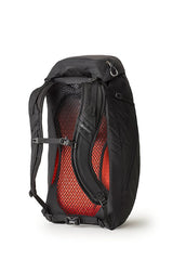 Mochila  Gregory Arrio 24 24 L Negro
