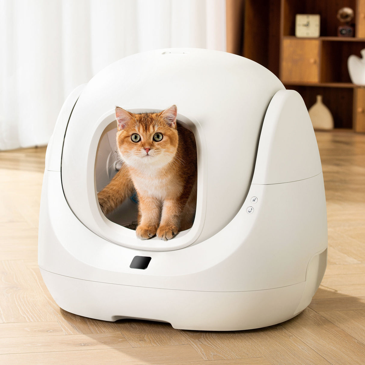 EAN 6972884750842 - Petoneer CL96961 bandeja higiénica para perro y gato Caja de arena con cubierta Blanco imagen 12
