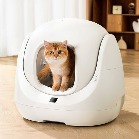 EAN 6972884750842 - Petoneer CL96961 bandeja higiénica para perro y gato Caja de arena con cubierta Blanco imagen 12