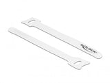 Delock 19519 Presilla Bridas Adherentes Para Cables Blanco 10 Pieza(S)