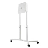 EAN 5902841134911 - Edbak TRF100 soporte para monitor 139,7 cm (55") Piso Blanco imagen 2