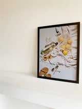 Deknudt S44cf2 30x45 Madera Negro