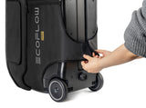 Bolsa De Transporte Protectora Ecoflow Delta Pro