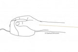 Evoluent Verticalmouse 4 Ratón Usb Tipo A Laser Mano Derecha