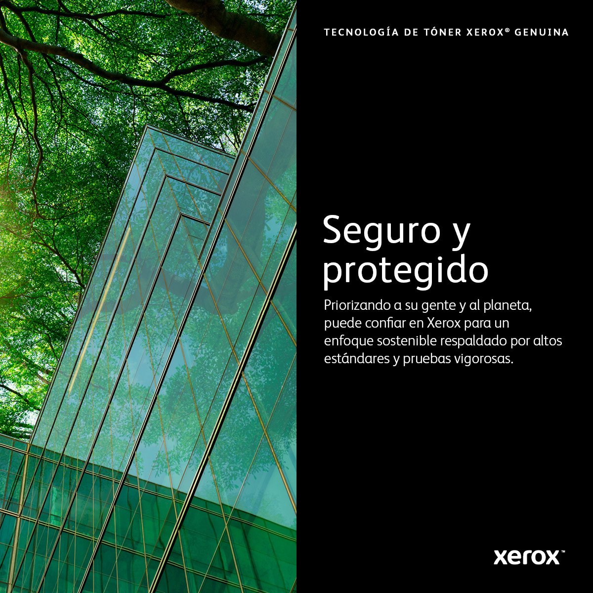 EAN 0095205866162 - Xerox 106R03921 cartucho de tóner 1 pieza(s) Original imagen 8