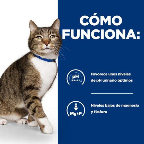 EAN 52742042473 - Hills 605897 comida húmeda para gatos 3 kg imagen 4