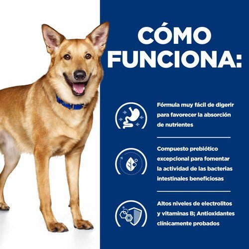 EAN 52742040738 - Hills 605862 alimento húmedo para perros Pollo, Ternera Universal 12 kg imagen 4