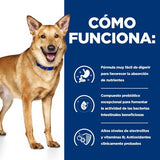 EAN 52742040738 - Hills 605862 alimento húmedo para perros Pollo, Ternera Universal 12 kg imagen 4