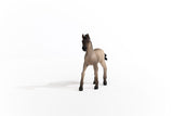 Schleich Horse Club     13949 Criollo Definitivo Fohlen