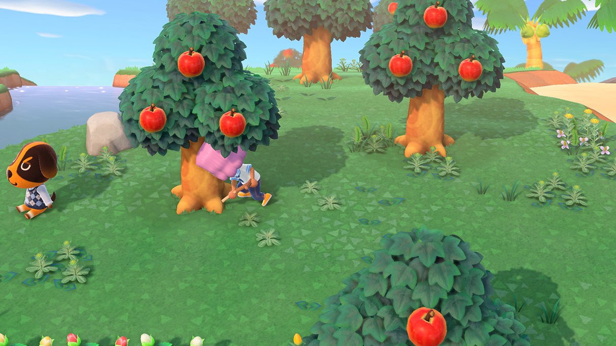 Switch Animal Crossing: New Horizons