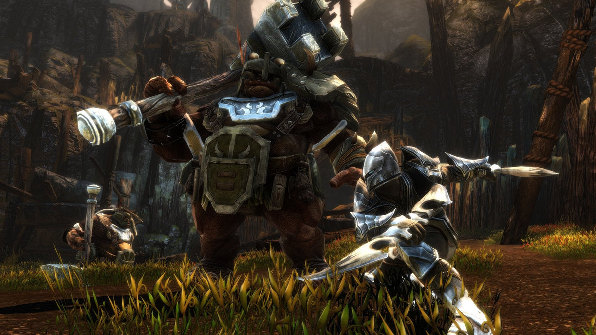 Juego Kingdoms Of Amalur Re-Reckoning Switch