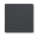 EAN 4011395056011 - Busch-Jaeger 1751-0-2926 accesorio de interruptor eléctrico imagen 1