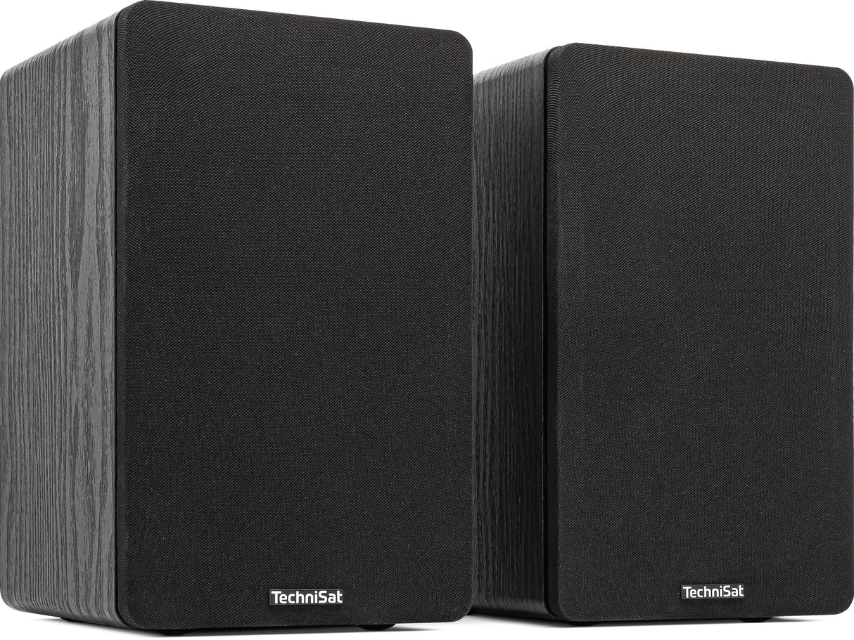 Technisat Audiomaster Rls 1