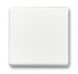 EAN 4011395995839 - Busch-Jaeger 1751-0-2749 protector contra el polvo Blanco imagen 1