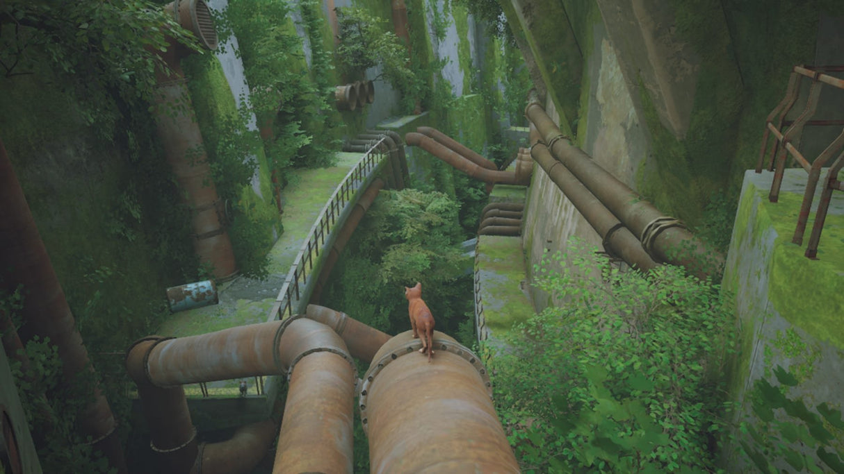 EAN 811949038685 - Take-Two Interactive Stray Estándar Chino simplificado, Chino tradicional, Alemán, Holandés, Inglés, Españ imagen 3